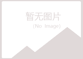 鹤岗南山初夏咨询有限公司